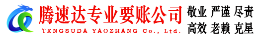 青云谱追债公司